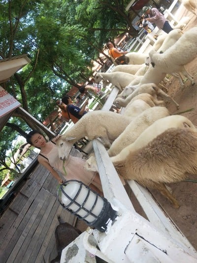 บรรยากาศ