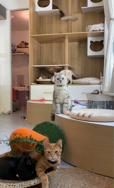 อื่นๆ
