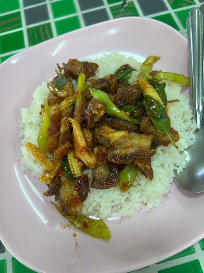 กะเพราหมูกรอบ