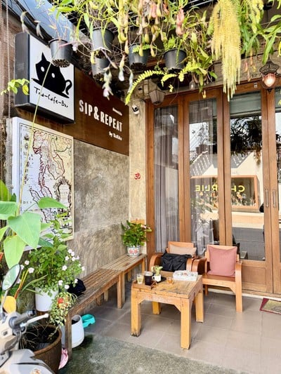 🫖 Tea Tales @Chiangmai