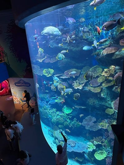 บรรยากาศ