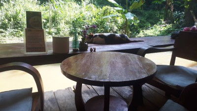 บรรยากาศ