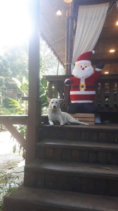 หน้าร้าน