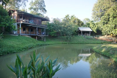 วิวนอกห้อง