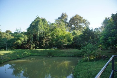 บริเวณโดยรอบ