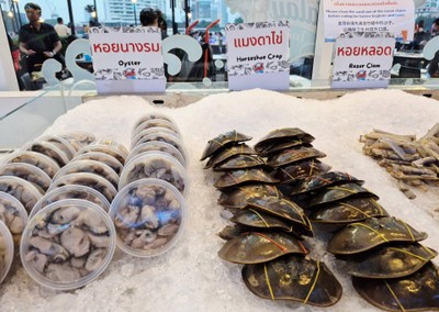 อื่นๆ