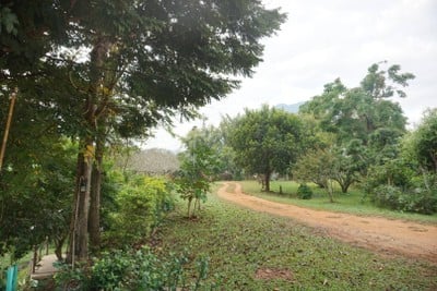 บริเวณโดยรอบ