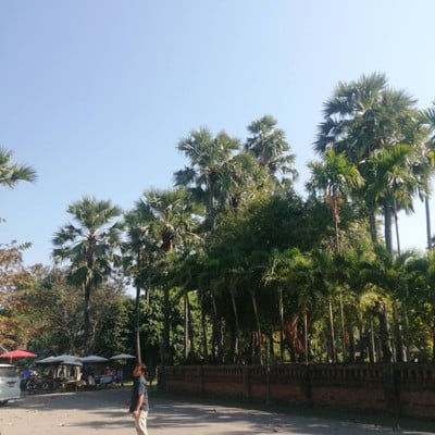 บรรยากาศ