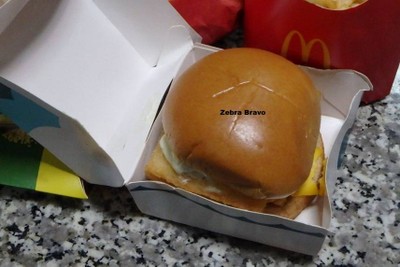 Double McFish