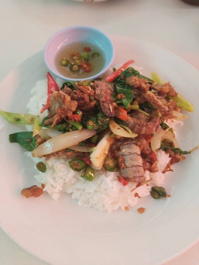 กระเพราทะเล