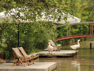 บรรยากาศ The Pomelo Amphawa (ครัวส้มโอหวาน อัมพวา)