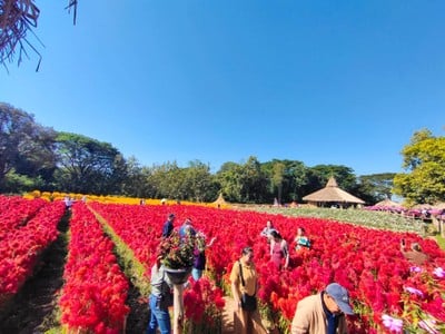 บรรยากาศ