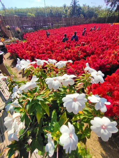 บรรยากาศ