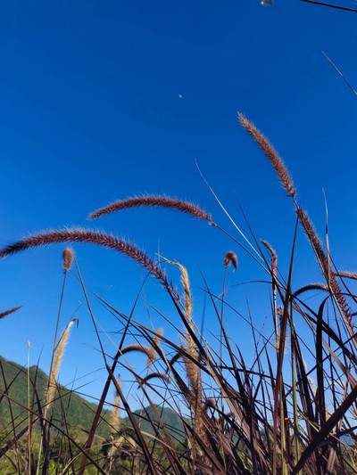 วิวนอกห้อง