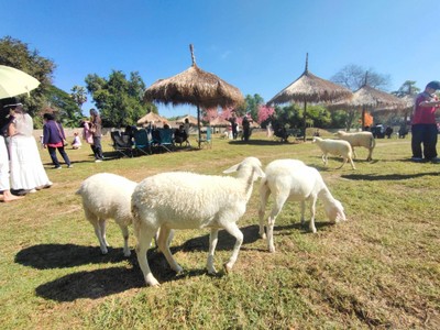 บรรยากาศ