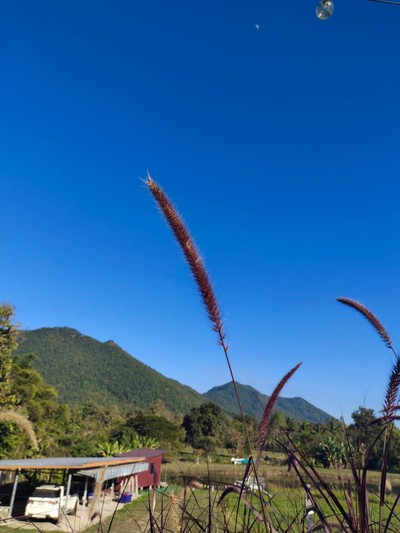 วิวนอกห้อง