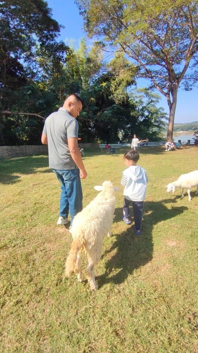 บรรยากาศ