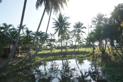 บริเวณโดยรอบ