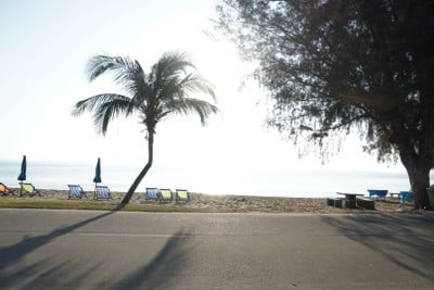 สระว่ายน้ำ/ชายหาด