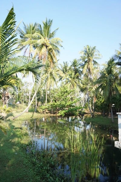 บริเวณโดยรอบ