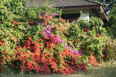 บริเวณโดยรอบ