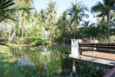 บริเวณโดยรอบ