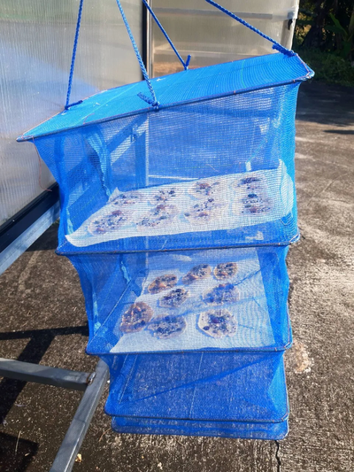 วิธีทำ กล้วยหนึบ หรือกล้วยอบธัญพืช