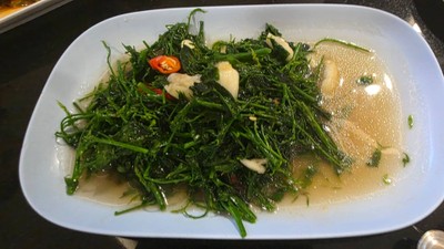 ผักหวานไฟแดง