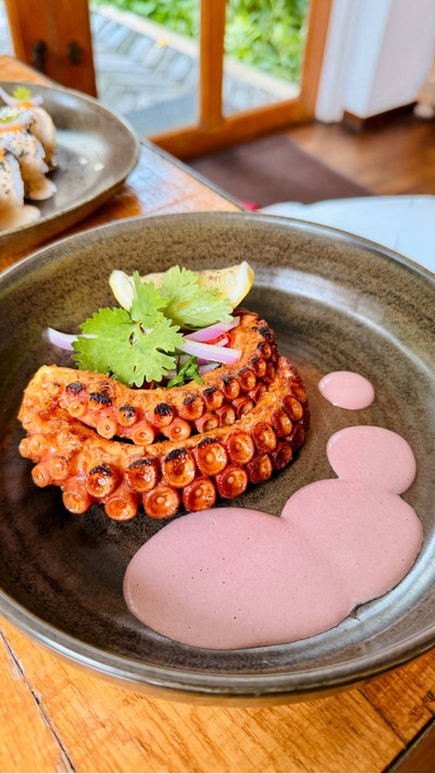 Octopus