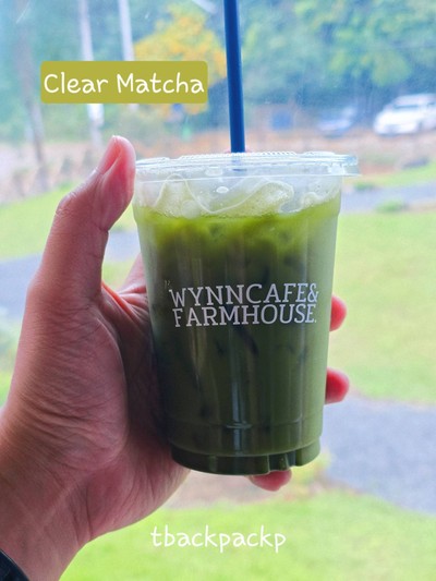 Clear Matcha