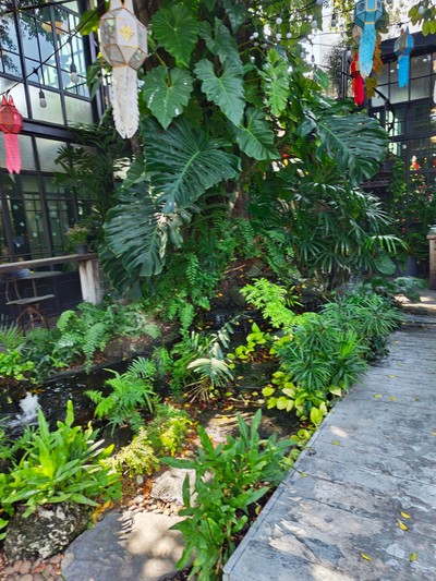 บรรยากาศ