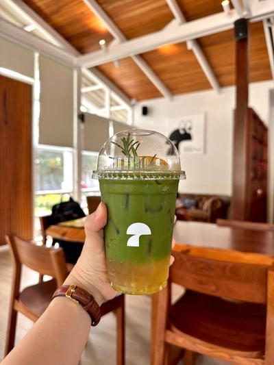 Matcha Yuzu Soda