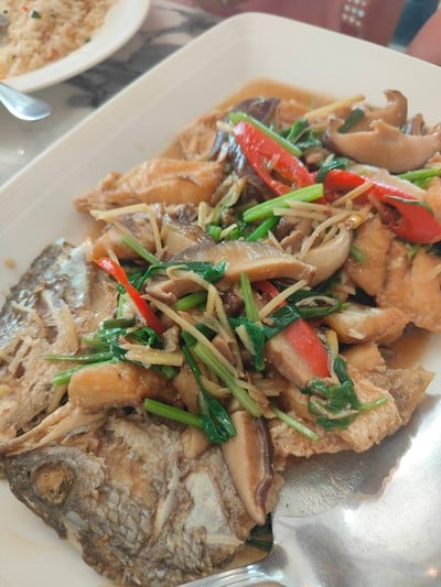ปลากะพงผัดขึ้นฉ่าย