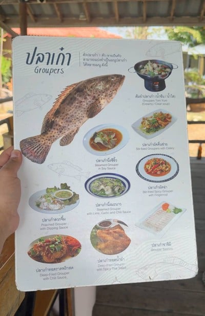 อื่นๆ
