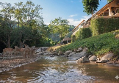 MENU_3589818xu_1774198641