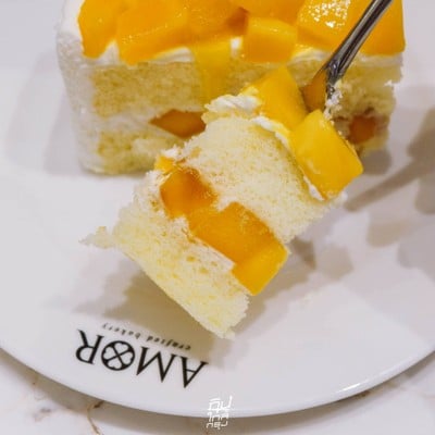 MANGO SEASON เค้กมะม่วงหวานละมุนสุดฉ่ำรับซัมเมอร์จาก AMOR