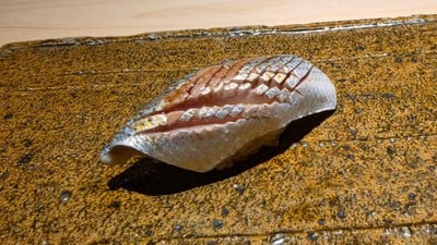 鮨 多門