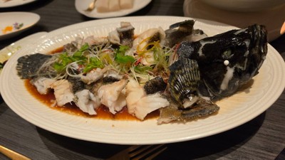 ปลาเก๋านึ่งซอส