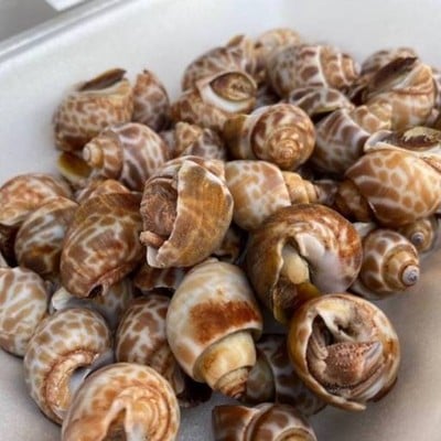 หิวอะไรที่ไม่ใช่ข้าว (ทะเลเผา กุ้งหอยปูปลา 99.-) สำโรง