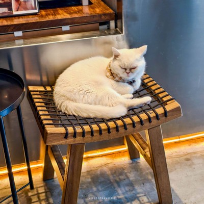 Koffeeplus Coffee Roaster Academy ร้านกาแฟเทสดีย่านเจริญนคร