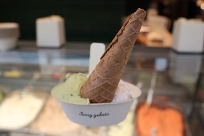 Pistachio & Phoenix Dan Cong Tea