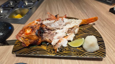 ปลาคิงกิย่าง