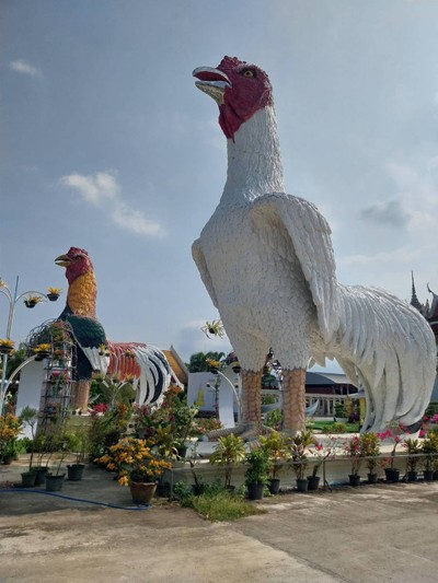 อื่นๆ