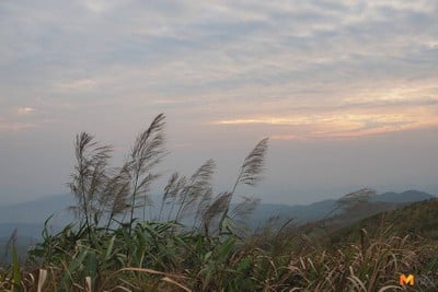 บรรยากาศ ดอยสวนยาหลวง