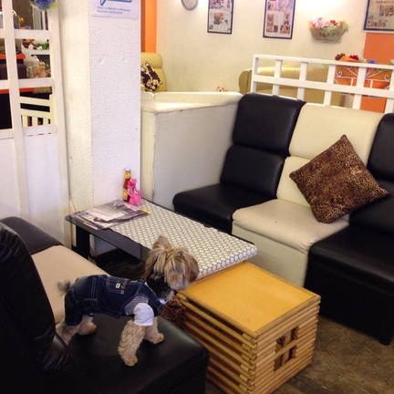 มุมที่นั่งกับยัยน้องหมาที่บ้าน