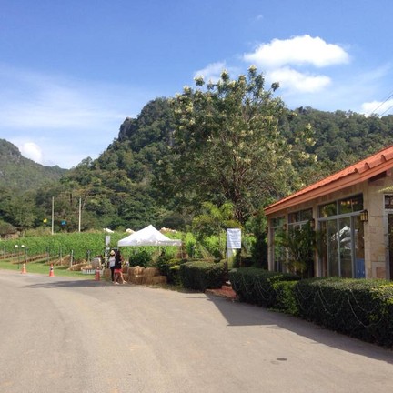 GranMonte Vineyard and Winery เขาใหญ่