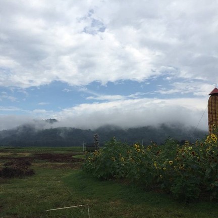 ไร่สุวรรณ ศูนย์วิจัยข้าวโพดและข้าวฟ่างแห่งชาติ