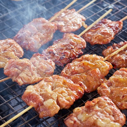 à¸«à¸¡à¸¹à¸›à¸´à¹‰à¸‡ à¸­à¸£à¹ˆà¸­à¸¢à¹à¸™à¹ˆà¸¢à¸²à¸¢à¸‚à¸²à¸¢ (à¸¢à¸²à¸¢à¸•à¸²à¸šà¸­à¸”)