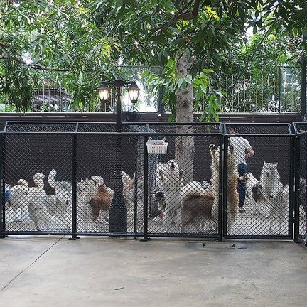 True Coffee Neverland