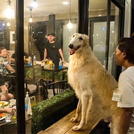 Big Dog Cafe  Ratchada